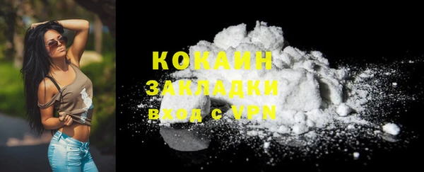индика Белоозёрский