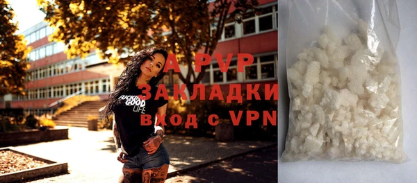 индика Белоозёрский