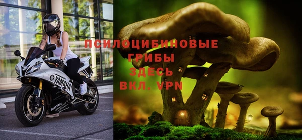 COCAINE Белокуриха