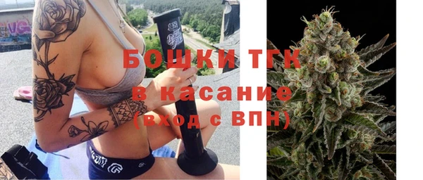индика Белоозёрский