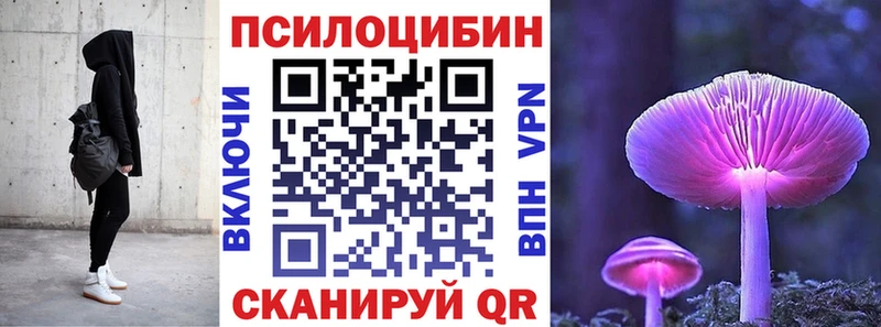 KRAKEN как зайти  Вяземский  Галлюциногенные грибы Psilocybine cubensis 